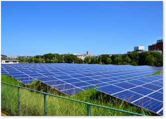 茨城で太陽光パネルを活用したソーラーシェアリングを考える前に制度の概要を押さえましょう